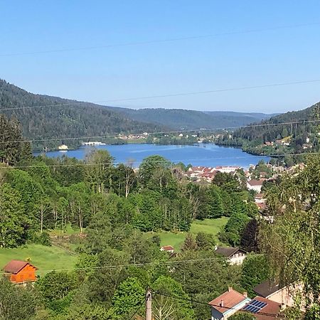 F3 Superbe Vue Lac, Grand Balcon, Ambiance Nature ジェラールメ エクステリア 写真