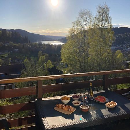 F3 Superbe Vue Lac, Grand Balcon, Ambiance Nature ジェラールメ エクステリア 写真