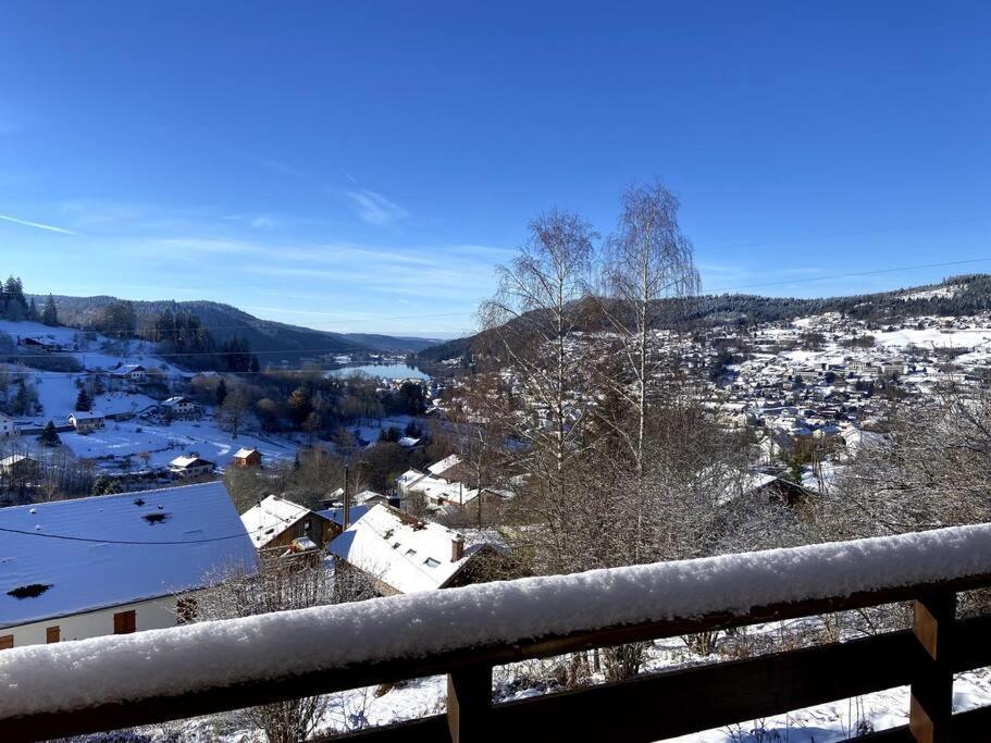 F3 Superbe Vue Lac, Grand Balcon, Ambiance Nature ジェラールメ エクステリア 写真