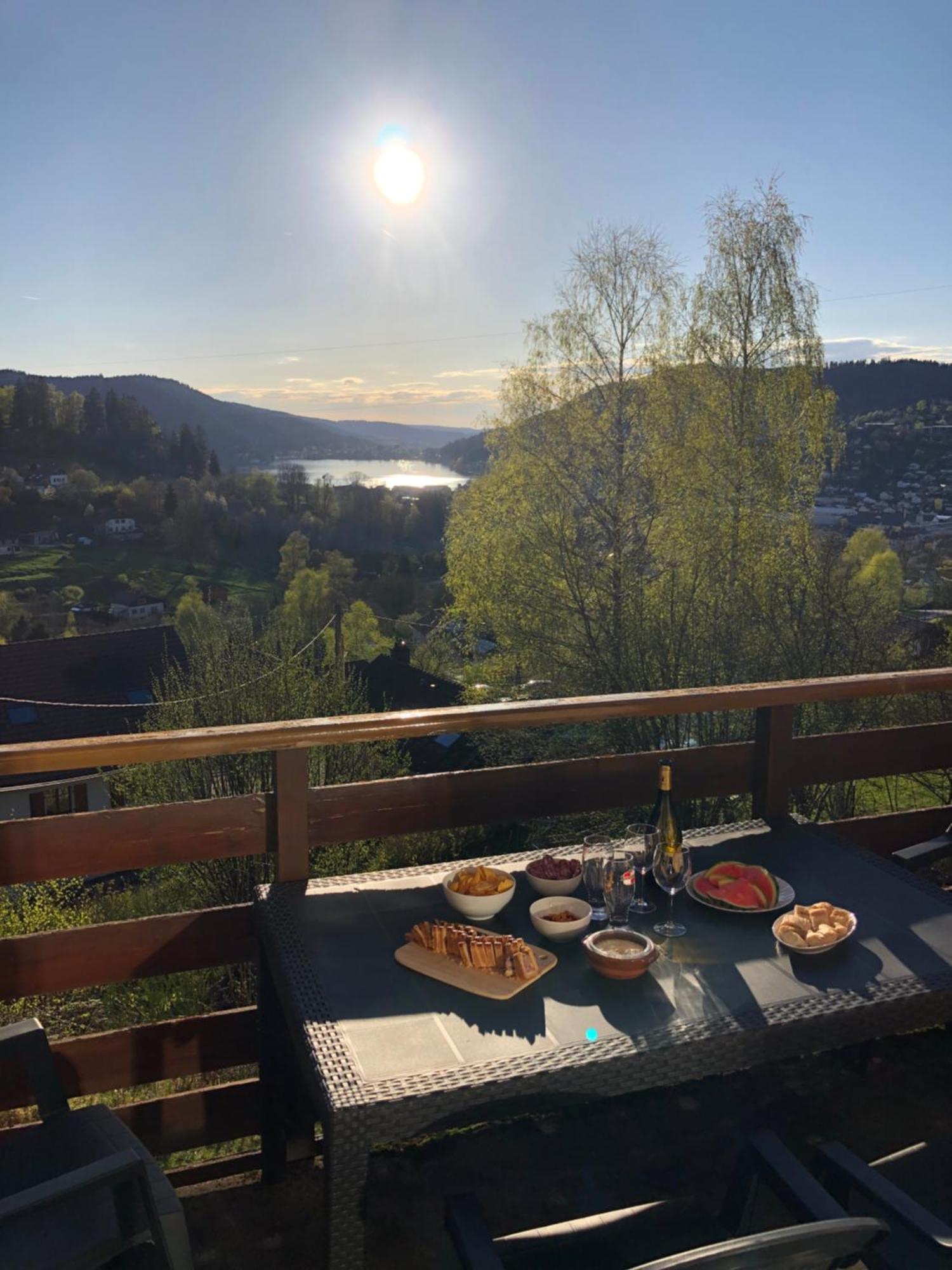 F3 Superbe Vue Lac, Grand Balcon, Ambiance Nature ジェラールメ エクステリア 写真